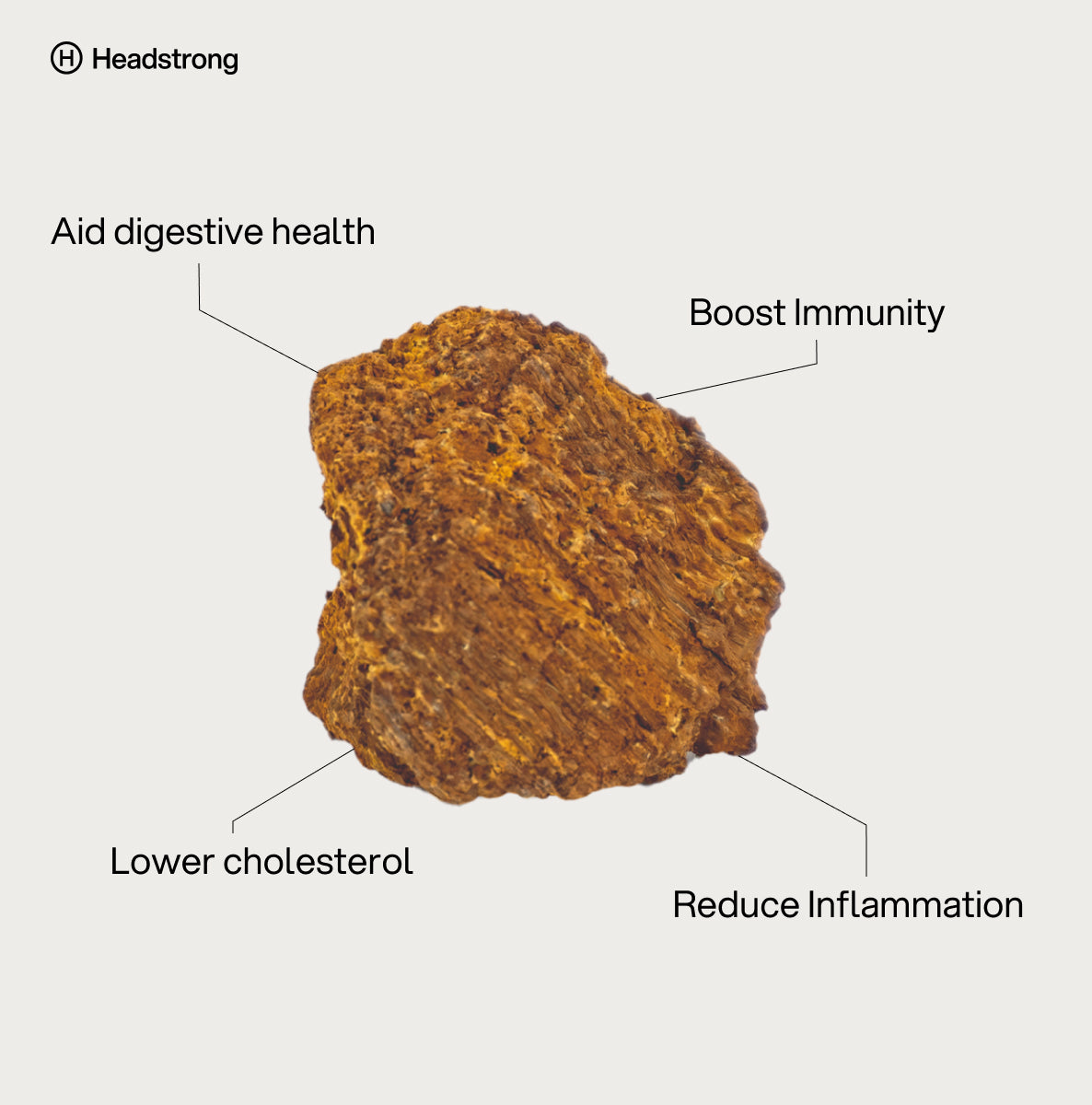 Chaga Mushroom - 30 Capsules | 3-month supply