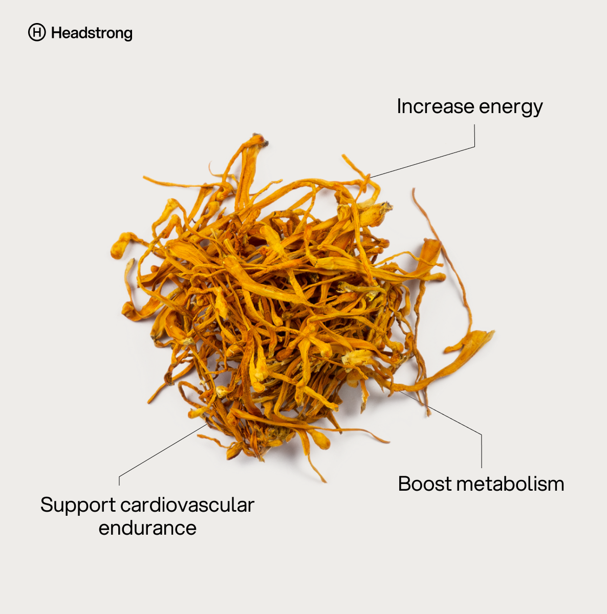 Cordyceps Mushroom - 30 Capsules | 3-month supply
