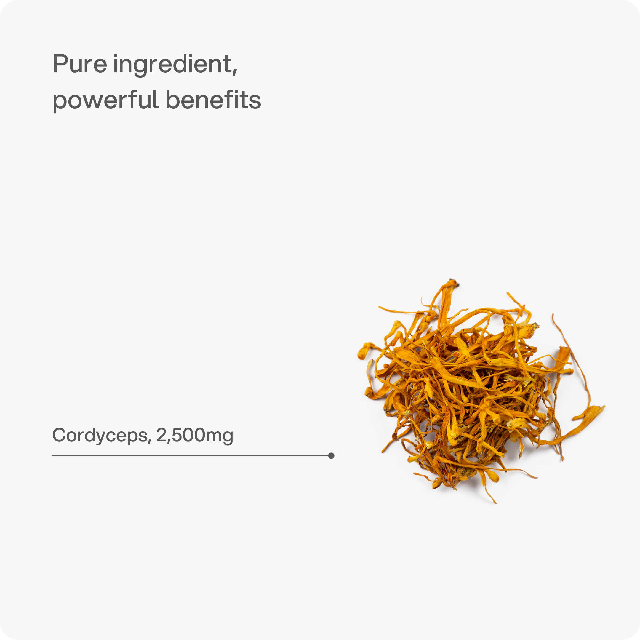 Cordyceps - Energy, Metabolism & Libido Capsule
