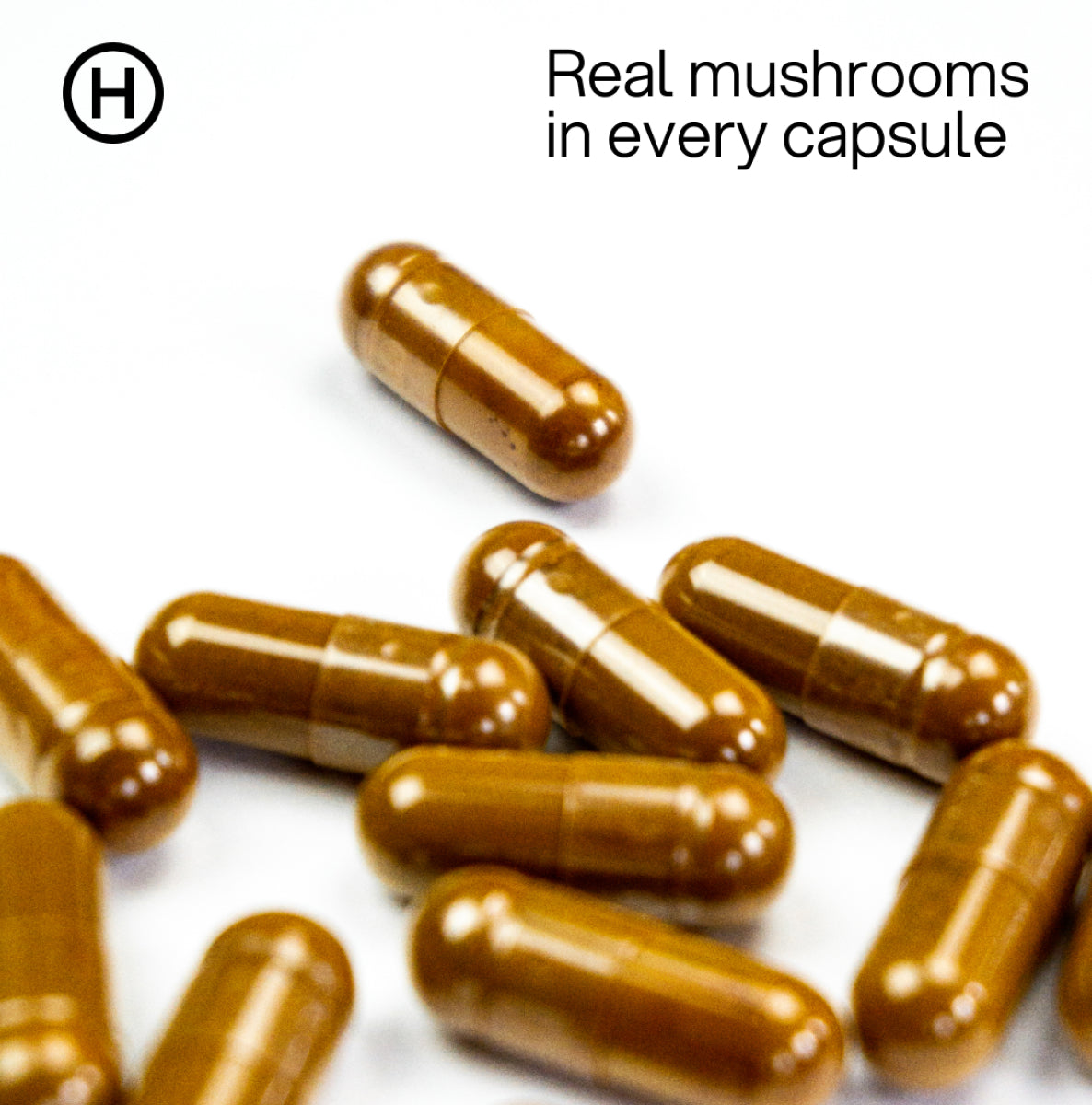 Reishi Mushroom - 30 Capsules | 3-month supply