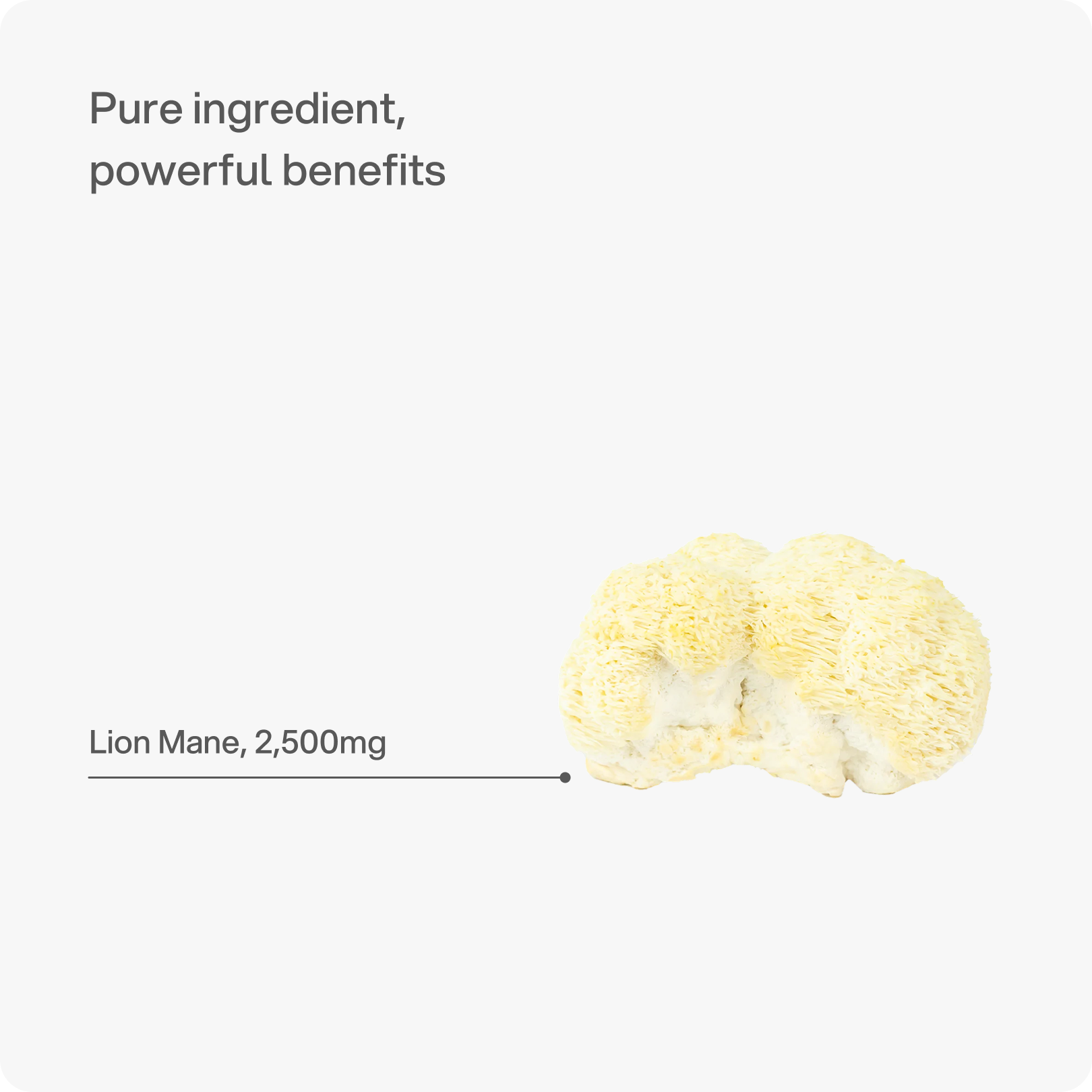 Lion's Mane - Focus, Memory & Clarity Capsule