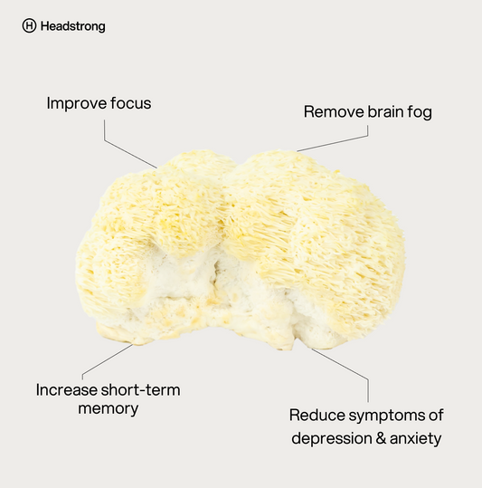 Work, Train, Rest Bundle - 7,500mg