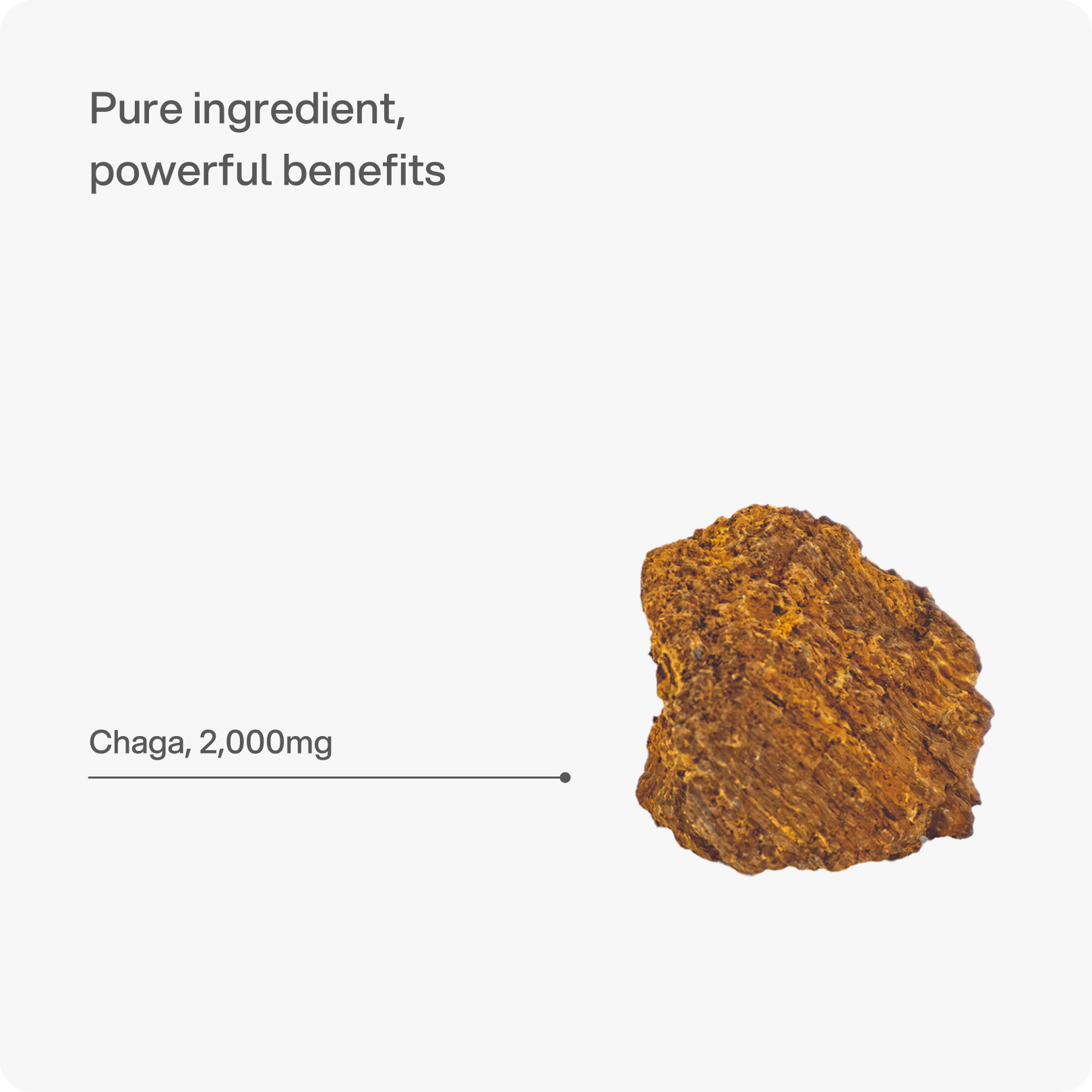 Chaga - Immunity & Gut Health Capsule