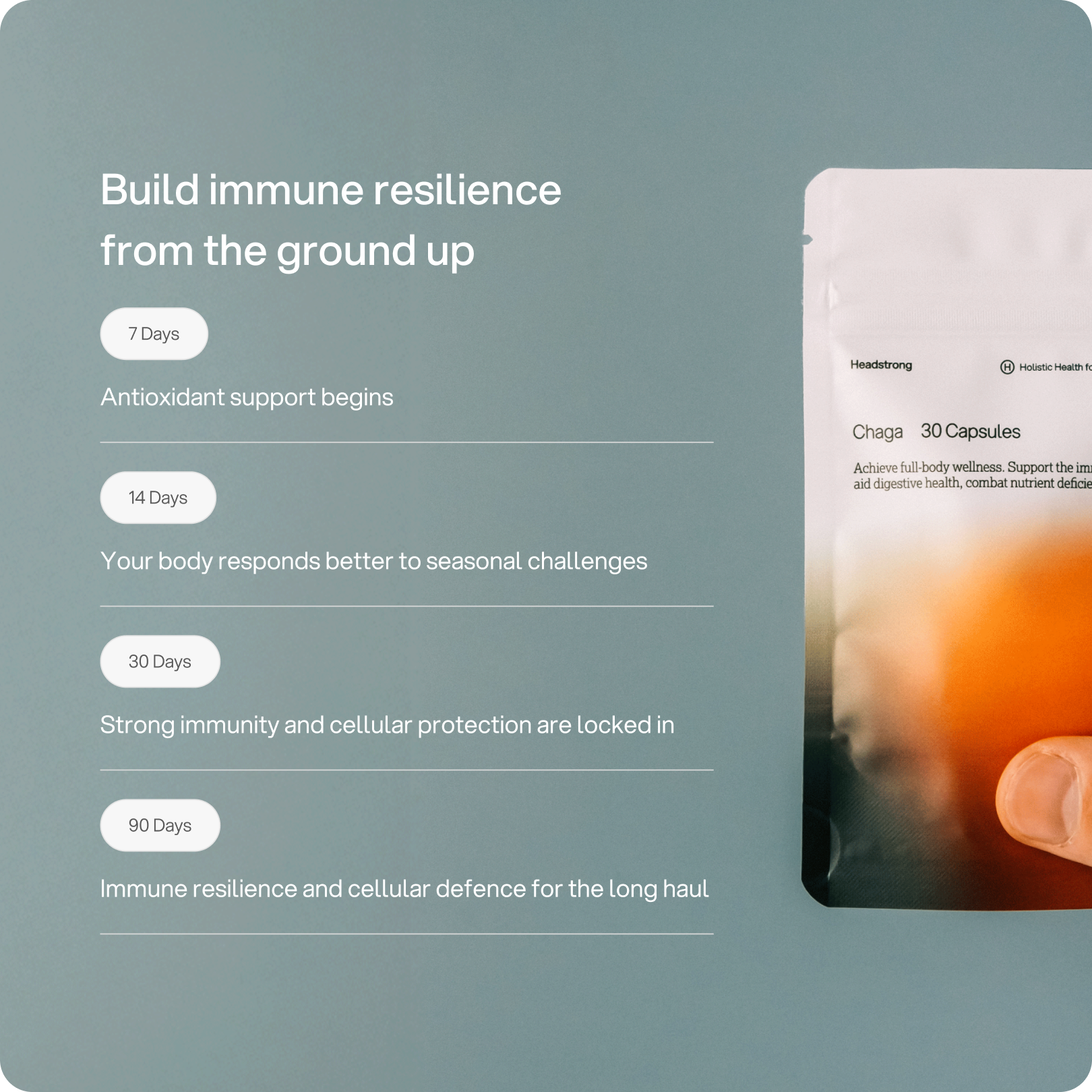 Chaga - Immunity & Gut Health Capsule