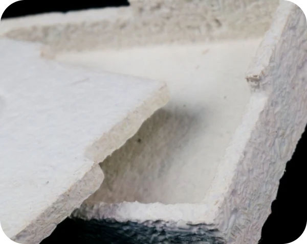 Mushroom protected by Mushroom