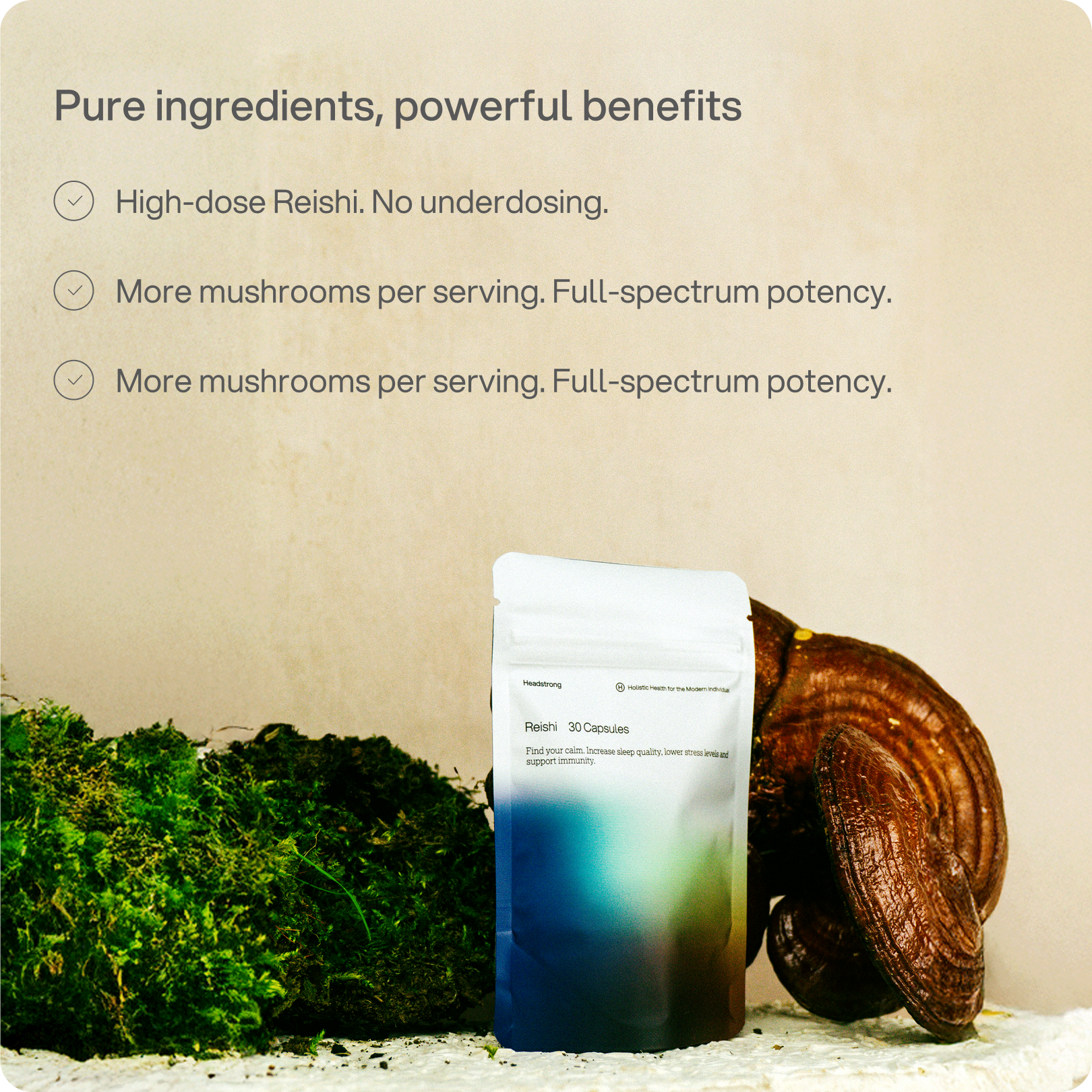 Reishi - Sleep, Stress & Immunity Capsule